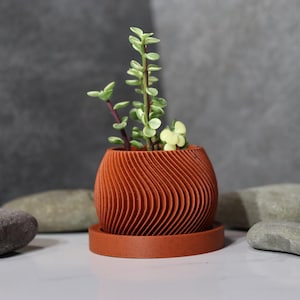 Pode incluir: Um pequeno vaso castanho-alaranjado, impresso em 3D, com um design ondulado, contendo uma pequena planta suculenta com folhas verdes e roxas. O vaso assenta sobre um pires a condizer, com pedras cinzentas no fundo.