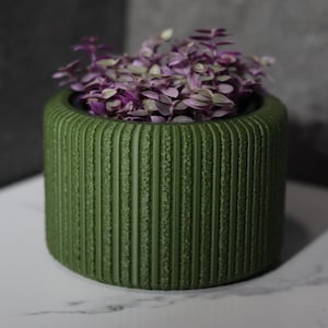 May include: A green, cylindrical planter with vertical textured lines, filled with a cascade of purple and green trailing plant. The pot sits on a white surface, with a gray background.