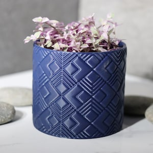 May include: A navy blue ceramic planter with a geometric pattern, filled with a plant with pink and green leaves. The planter is cylindrical and sits on a white surface with gray stones.