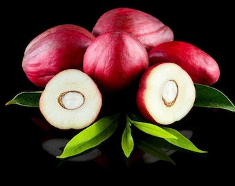May include: A cluster of whole and halved red kola nuts with smooth, rounded skins. Two halves are positioned in the front, revealing a creamy white interior with a central seed. Several vibrant green, pointed leaves are tucked underneath.