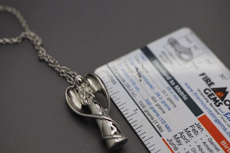 a close up of a metal object on a chain