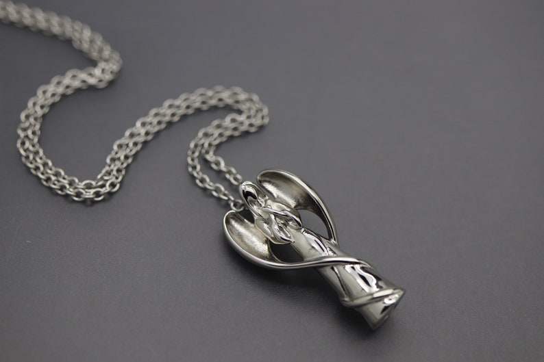 a necklace with a silver object on a chain