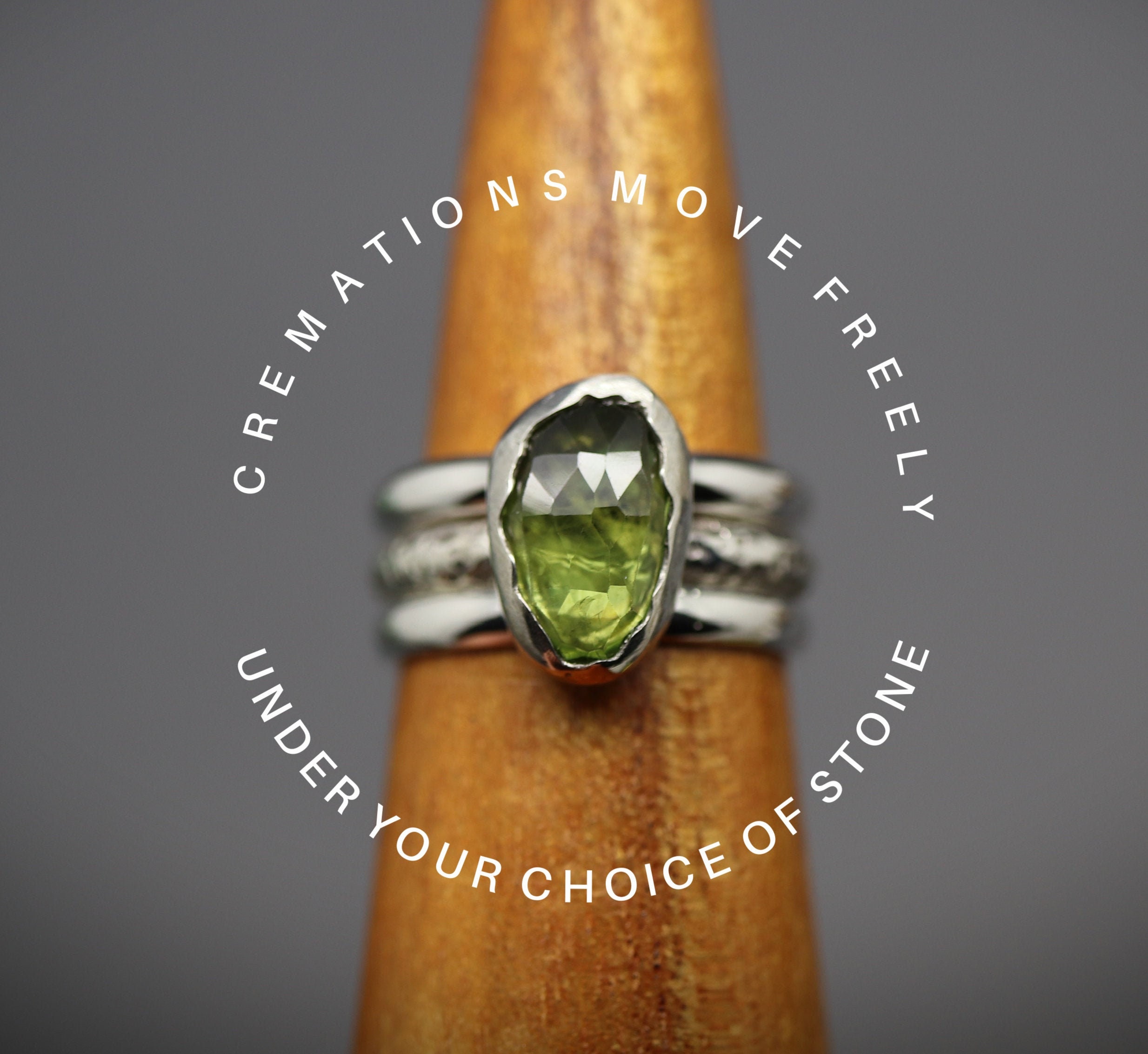 Cremation Ring Band Cremation Rings for Women Cremation Jewelry Ashes Silver Cremation Jewelry Urn Ring Cremation Ring for Ashes Loss Etsy Canada