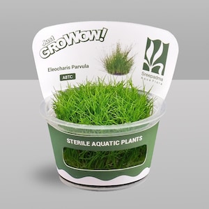 May include: A small, green aquatic plant in a clear plastic pot. The pot is inside a green and white paper sleeve with the text "Just GrowWow!" and "Sterile Aquatic Plants". The plant is labeled Eleocharis Parvula.