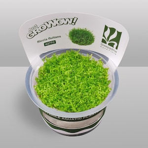 May include: A container of Riccia fluitans, a sterile aquatic plant. The plant is bright green and fills the clear plastic container. The container has a black and silver label. A white label above reads "Just GrowWow!" and includes the plant's scientific name and a logo.