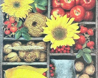 Autumn Harvest Fruit, nuts, flowers - Decoupage Napkin (beverage size) C321