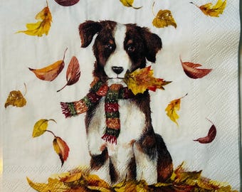 Black and White Dog sitting in falling Autumn Leaves - Decoupage Napkins (Beverage Size) C139