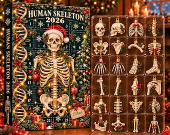 Human Skeleton Advent Calendar 2026, Anatomy Christmas Countdown Box, 24 Bone Ornaments, Medical Science Holiday Decor, Student Gift 2026