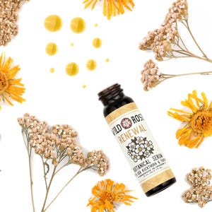 Renewal - Botanical Facial Serum with Sea Buckthorn & Yarrow - 15ml // .5oz image 2
