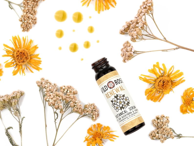 Renewal - Botanical Facial Serum with Sea Buckthorn & Yarrow - 15ml // .5oz image 2