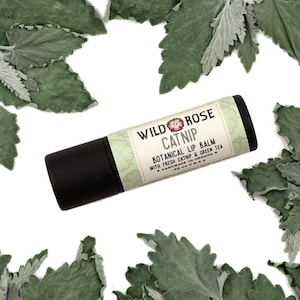 CATNIP Natural Lip Balm - with Organic Catnip and Green Tea - .33oz  Biodegradable Tube
