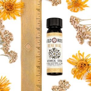 Renewal - Botanical Facial Serum with Sea Buckthorn & Yarrow - 15ml // .5oz image 3