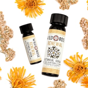 Renewal - Botanical Facial Serum with Sea Buckthorn & Yarrow - 15ml // .5oz image 5
