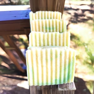 Sap Moss Soap | Cold Process  Vegan Soap | Clean Fragrance Soap | Handmade Soap Gift