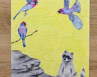 Disegno a matita del piccolo procione con uccelli nel cielo