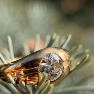 May include: Close-up of a gold ring with a large, clear diamond set in a bezel. The ring is resting on a bed of green and orange pine needles, with the sunlight reflecting off the polished metal and the facets of the diamond.
