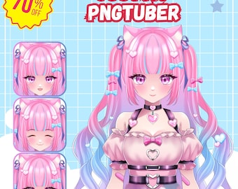 Custom Pngtuber Character Design, Vtuber Model, Anime, Avatar, Pngtuber Character Design for Stream, Twitch, YouTube & Facebook Commission
