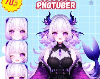 Custom PNGTUBER Character Commission, Kawaii Anime Pngtuber Vtuber Model, Pngtuber PFP for Twitch, Veadotube, Youtube, Facebook, Streamer