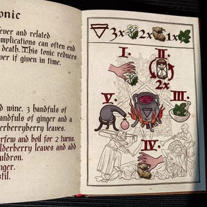 May include: An open book with illustrations and text detailing a "Fever Tonic" recipe. The left page has text and a graphic, while the right page features a step-by-step illustrated guide with ingredients and instructions.