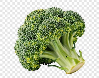 10 clipart di broccoli in formato PNG, immagini di verdure, sfondo trasparente, clipart ad acquerello, download immediato, utilizzo commerciale