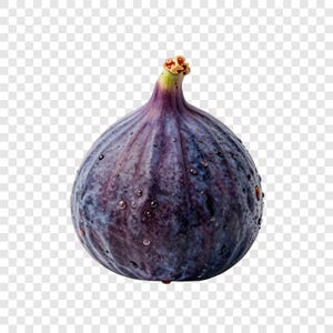 以下が含まれることがあります： 深い紫と青の皮を持つ新鮮なイチジクの果実。上部には先細りの茎があり、表面には小さな水滴が多数付着しています。果実は丸みを帯びた球根状の形をしており、自然な色の変化が見られます。