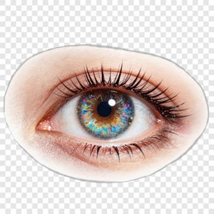 Puede incluir: Primer plano de un ojo humano con un iris multicolor. El iris presenta tonos de azul, amarillo y naranja. El ojo tiene largas pestañas oscuras y está rodeado de piel clara.
