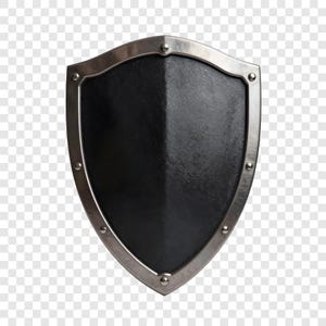 Op de afbeelding: Een schild in middeleeuwse stijl met een zwart midden en een zilverkleurige metalen rand. Het schild heeft een afgeronde bovenkant en een puntige onderkant, met klinknagels die de rand vastzetten. Het oppervlak heeft een textuur.