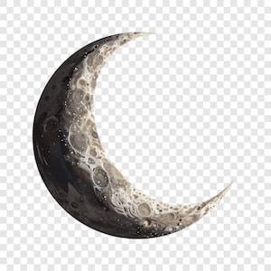 May include: A crescent moon illustration with a textured surface. The moon features a gradient of dark gray to light gray and white, with speckled details and a cratered appearance, evoking a celestial theme.