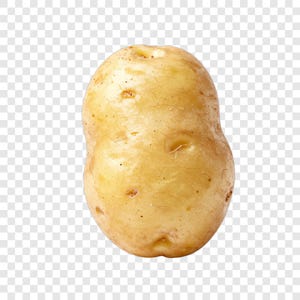 May include: A single raw potato with a light tan, smooth skin and a slightly elongated, rounded shape. The surface features small, scattered dark brown spots and shallow indentations, with a few fine, thin root hairs visible across the exterior.