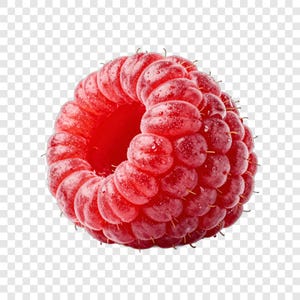 Puede incluir: Una frambuesa fresca individual de color rojo vibrante con un centro hueco. La superficie de la fruta está compuesta por numerosas drupeletas pequeñas y redondeadas cubiertas de diminutos pelos finos y gotas de humedad brillantes.