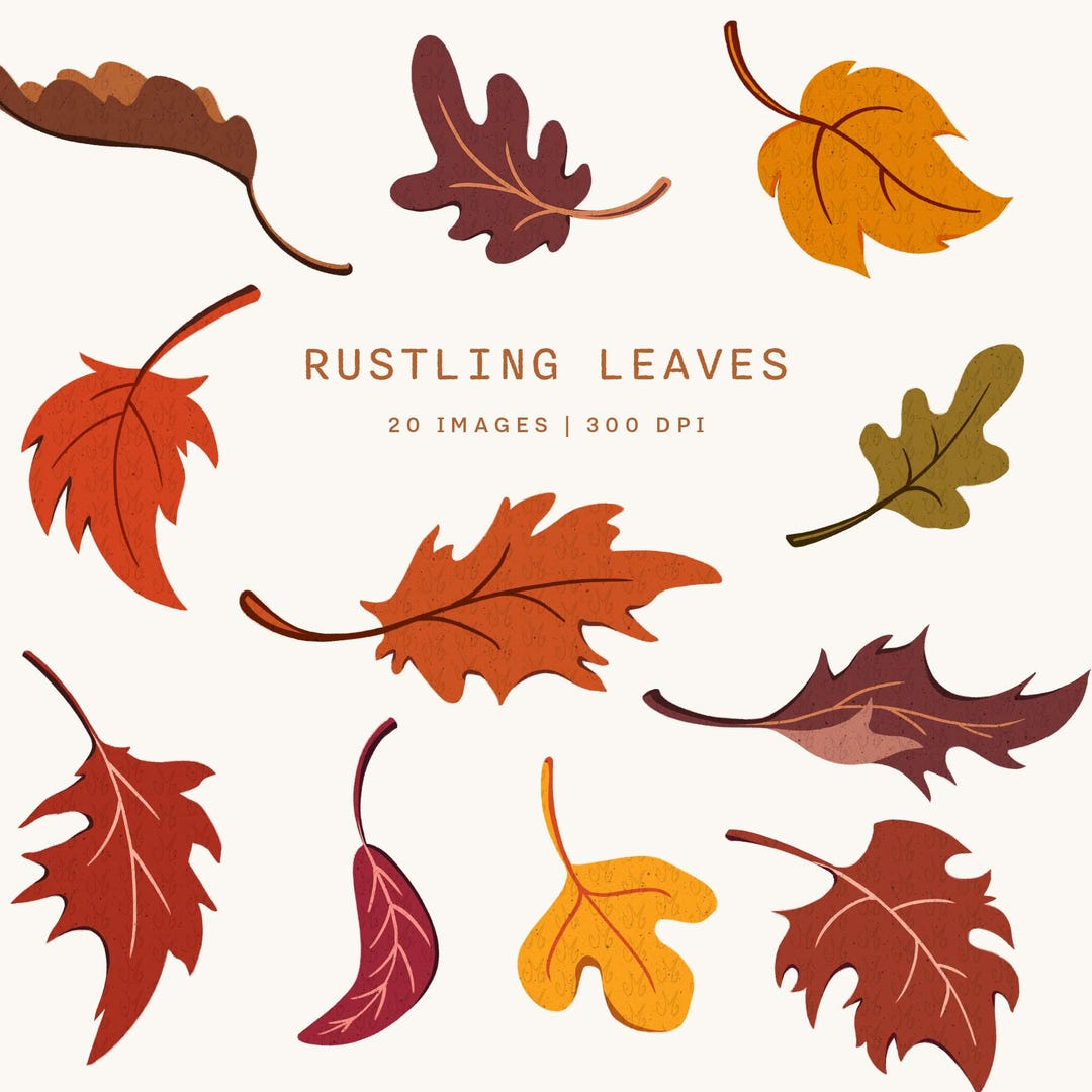 Fall Leaves Clipart Set - Colorful Autumn Foliage and Rustic Leaf ...