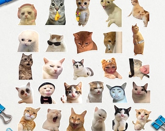 Cat Meme Sticker Set | Funny Kitty Decals | Waterproof Vinyl Stickers for Laptops, Bottles & Notebooks