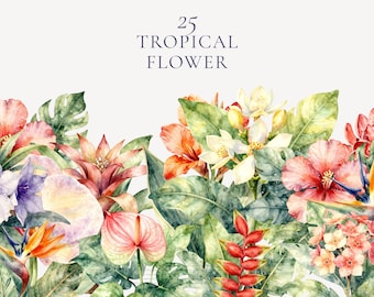 Tropische bloem aquarel clipartbundel, 25 transparante png-bloemen, hibiscusorchidee plumeria-illustraties