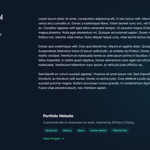 May include: A dark blue website design featuring the name "Claudia Emmanuel" and the title "Fullstack Engineer." The site includes sections for About, Projects, and Contact, along with a portfolio website description and project tags.