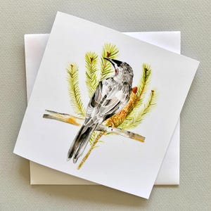 Australian bird greetings card, Wattle bird with Banksia