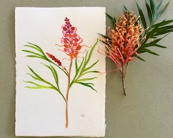 Original watercolour painting on handmade paper, Australian flower, Grevillea