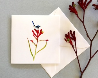 Kangaroo paw and wren card, all occasions