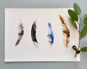 Feathers print, Australian bird feathers