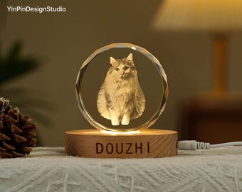 Personalised 3D Circle Crystal Photo Light | Custom Engraved Pet Lamp Keepsake | Pet Portrait Gift