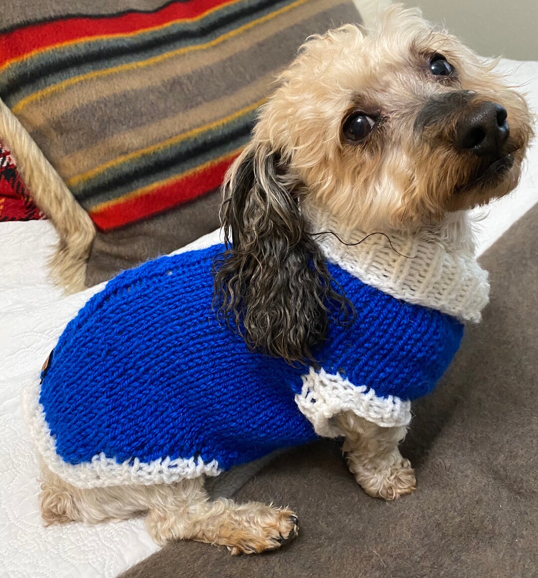 Beautiful Blue Dog Sweater With White Collar Hand Knit for Etsy