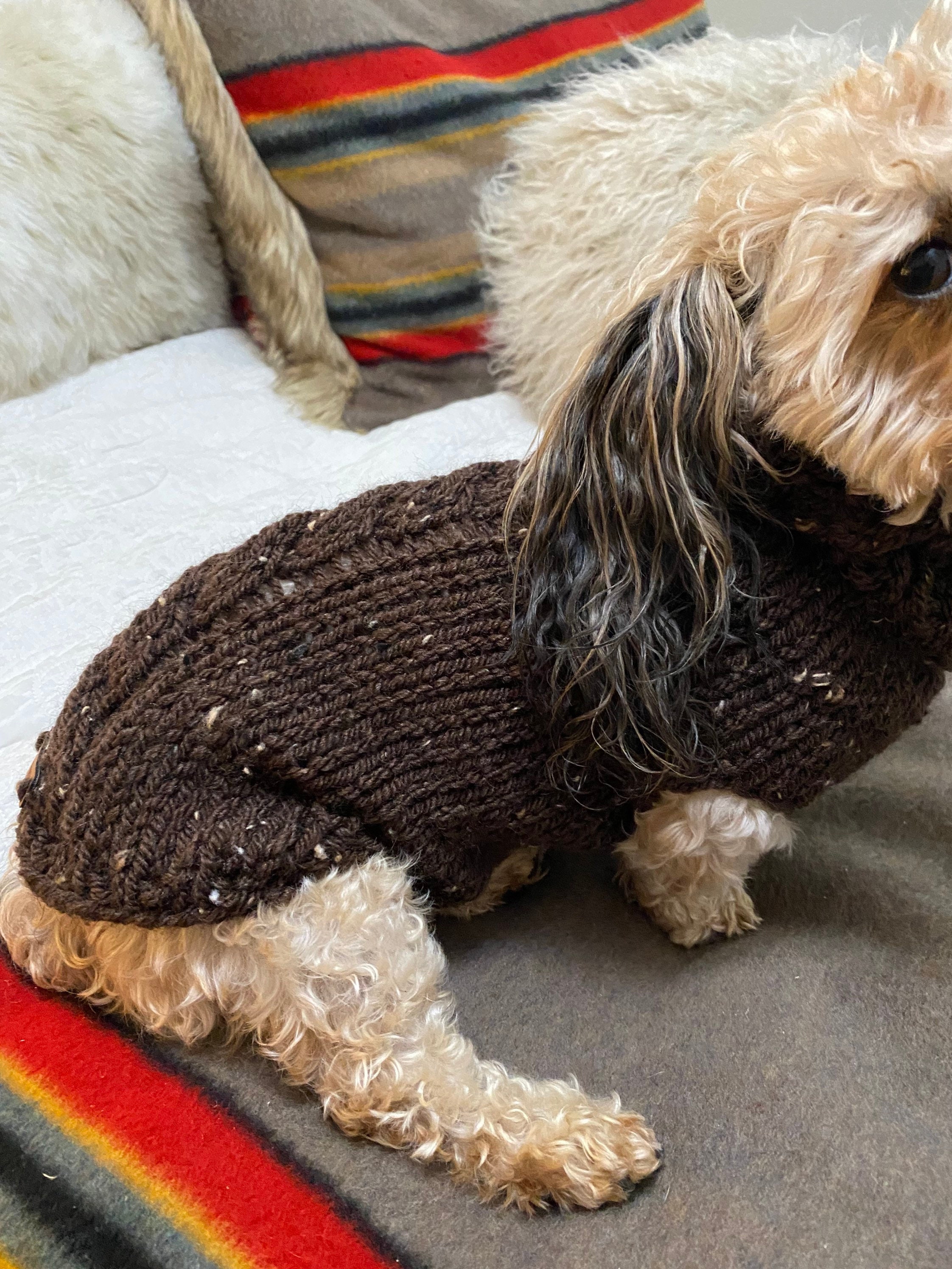 Chunky Warm Dog Sweater Hand Knit Small 
