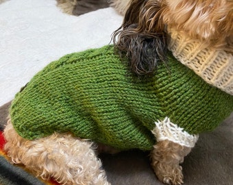 Dog Sweater with White Collar Hand Knit for Small Dog - with Cable Down Back - Wool & Acrylic Machine Washable Meadow Green