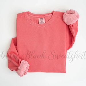 May include: Coral-colored sweatshirt with a crew neck and long sleeves. The sleeves are cuffed, and the interior of the cuffs is a lighter shade of pink. The brand label is visible on the neckline. The words "Unique Blank Sweatshirt" are written in cursive across the bottom.