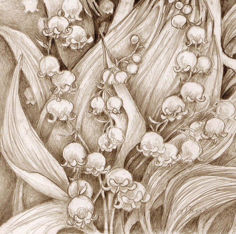 Fantasy Art Print Lily of the Valley Pencil Drawing Angel Print 3.5 x 5 inch print image 3
