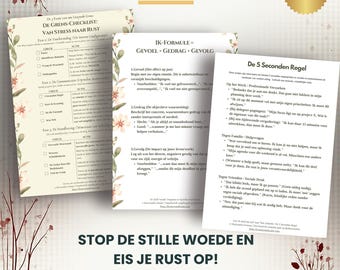 Kit para romper patrones: Hojas de trabajo para establecer límites y asertividad | Recuperación del trauma y sanación del niño interior (PDF)