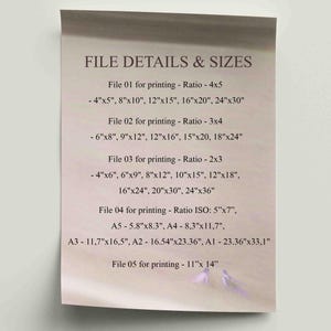 May include: A beige paper with the text "FILE DETAILS & SIZES" and size options for printing, including 4"x5", 8"x10", 12"x15", 16"x20", 24"x30", and other sizes. The paper has a rolled top.