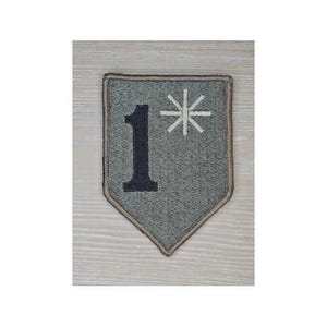 May include: A gray, shield-shaped patch with a black number 1 and a white asterisk design. The patch has a brown border and is likely an emblem or insignia.