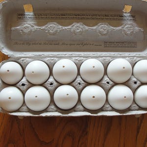 Dozen hollow blown real eggs to color