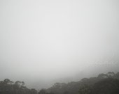 black white photograph fog photo fine art Blue Mountains Echo Point Sydney trees grey gray foggy mist wall decor