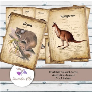 Junk Journal Kit | Junk Journal Karten DIY Journal Australian Animals